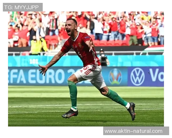 匈牙利足球传奇人物的辉煌历程与伟大成就探秘