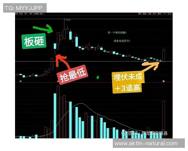 武汉乒乓球队与北京乒乓球队赛后复盘分析比赛节奏与战术对比 武汉乒乓球队与北京乒乓球队赛后复盘分析比赛节奏与战术对比