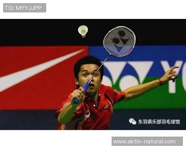 南京羽毛球队心理素质深度对比分析及其对比赛表现的影响探讨