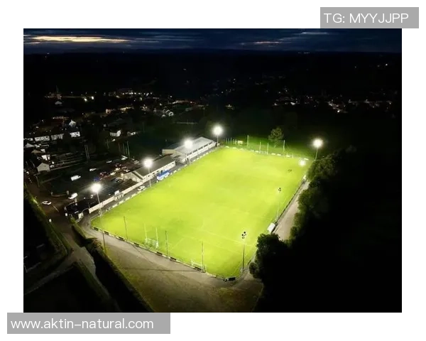 在足球场上绽放的灯光画艺术与激情交融的瞬间 在足球场上绽放的灯光画艺术与激情交融的瞬间