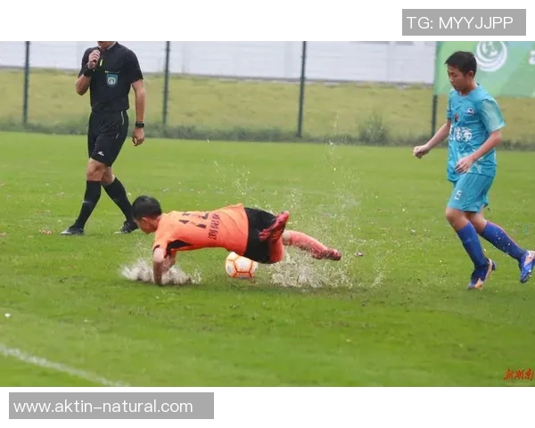 利川足球崛起之路探索地方足球发展的新机遇与挑战