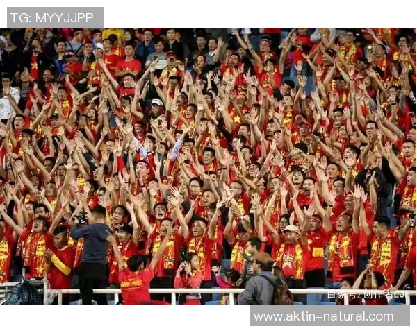 沅江足球崛起之路探索地方足球文化与青少年发展新机遇