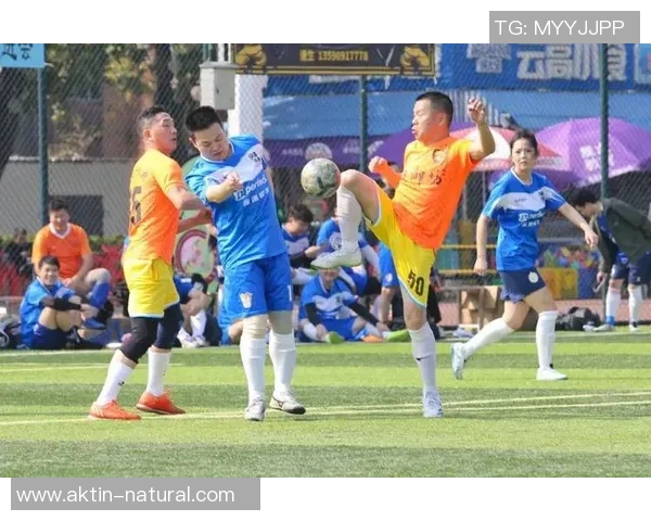 足球sir带你领略世界足球盛宴的精彩瞬间与背后的故事