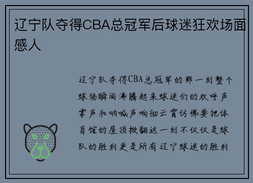 辽宁队夺得CBA总冠军后球迷狂欢场面感人