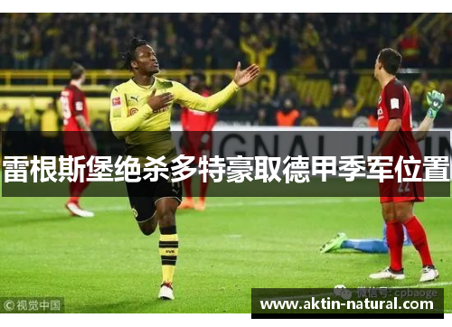 雷根斯堡绝杀多特豪取德甲季军位置