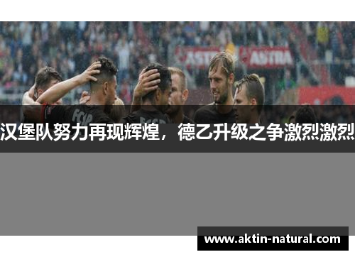 汉堡队努力再现辉煌，德乙升级之争激烈激烈