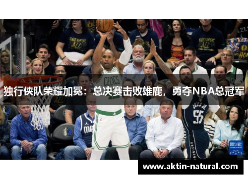 独行侠队荣耀加冕：总决赛击败雄鹿，勇夺NBA总冠军