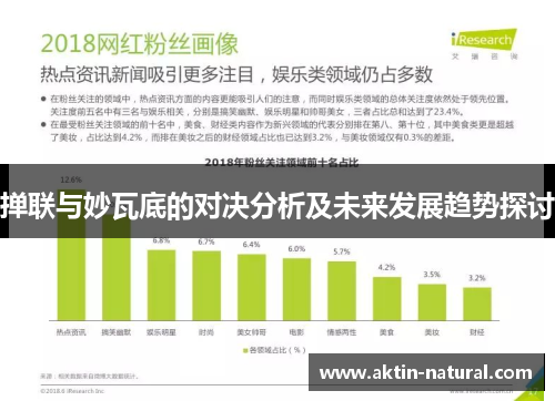 掸联与妙瓦底的对决分析及未来发展趋势探讨
