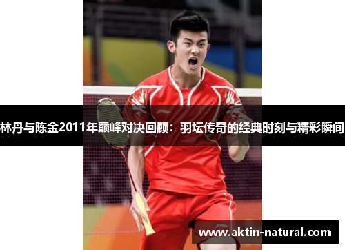 林丹与陈金2011年巅峰对决回顾：羽坛传奇的经典时刻与精彩瞬间