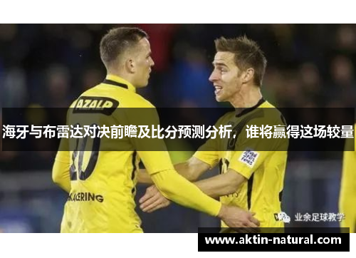 海牙与布雷达对决前瞻及比分预测分析，谁将赢得这场较量
