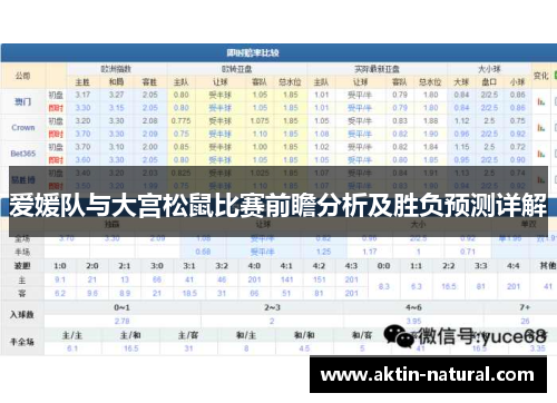 爱媛队与大宫松鼠比赛前瞻分析及胜负预测详解 爱媛队与大宫松鼠比赛前瞻分析及胜负预测详解