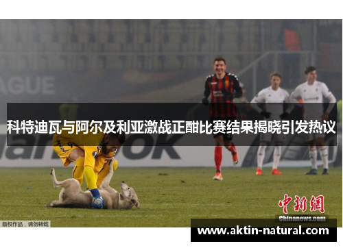 科特迪瓦与阿尔及利亚激战正酣比赛结果揭晓引发热议